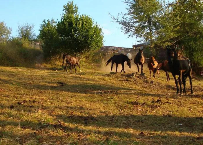 St Mariya Magdalena Devin